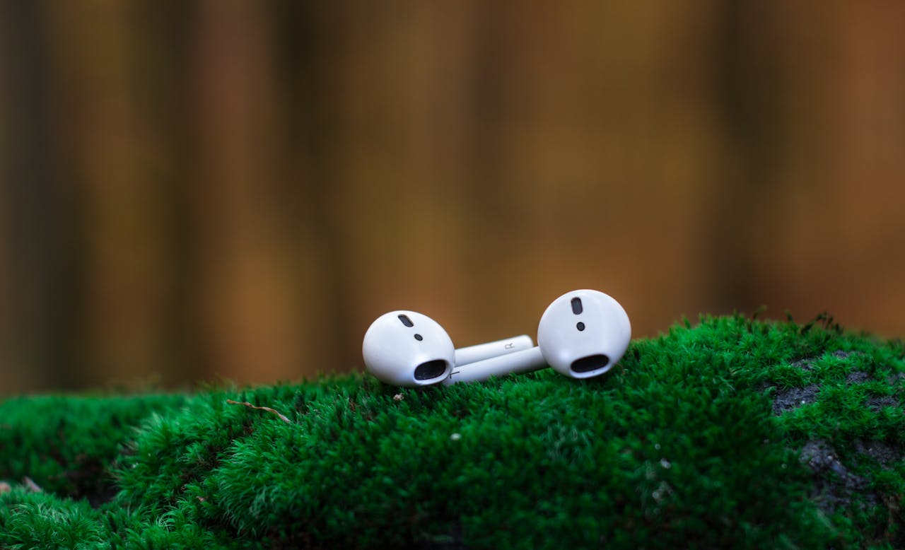 services-03 Close-up of wireless earbuds resting on vibrant green moss, showcasing portable audio technology.